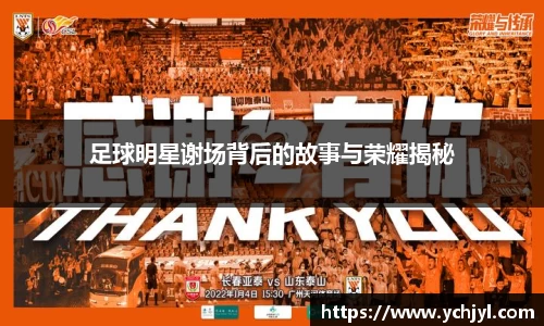 足球明星谢场背后的故事与荣耀揭秘